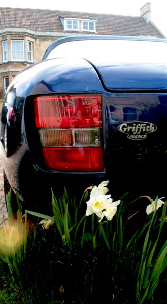 TVR , Griffith , 500, badge 